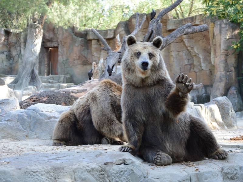 Prager Tiergarten (Zoo Praha)